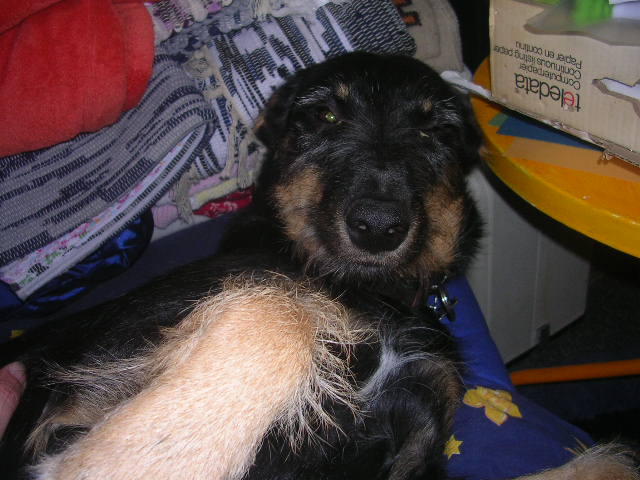 DSCN4759.JPG