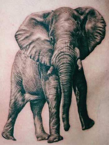elephant_tattoo.jpg