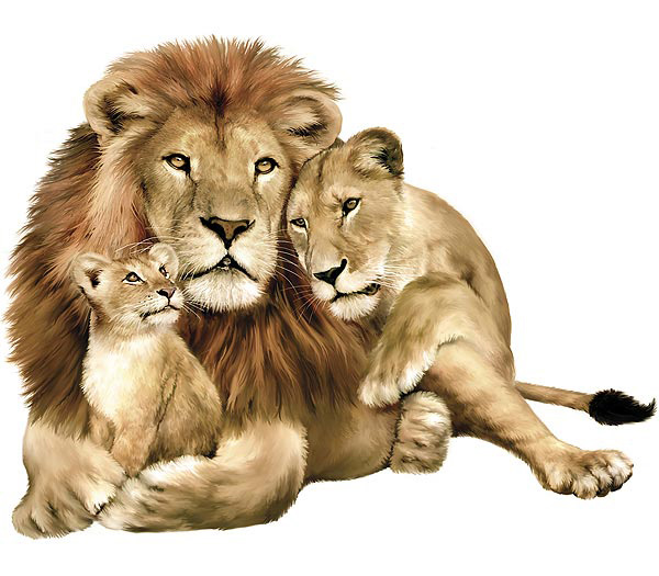LionCubsWK9626ML.jpg