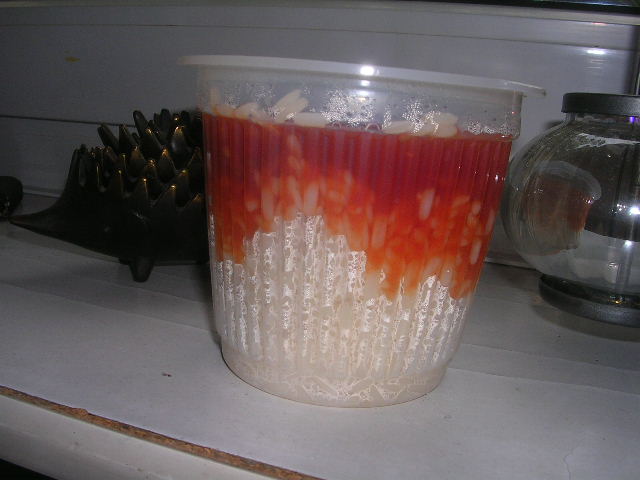 DSCN4772.JPG