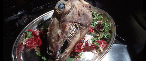 sheepshead1.jpg
