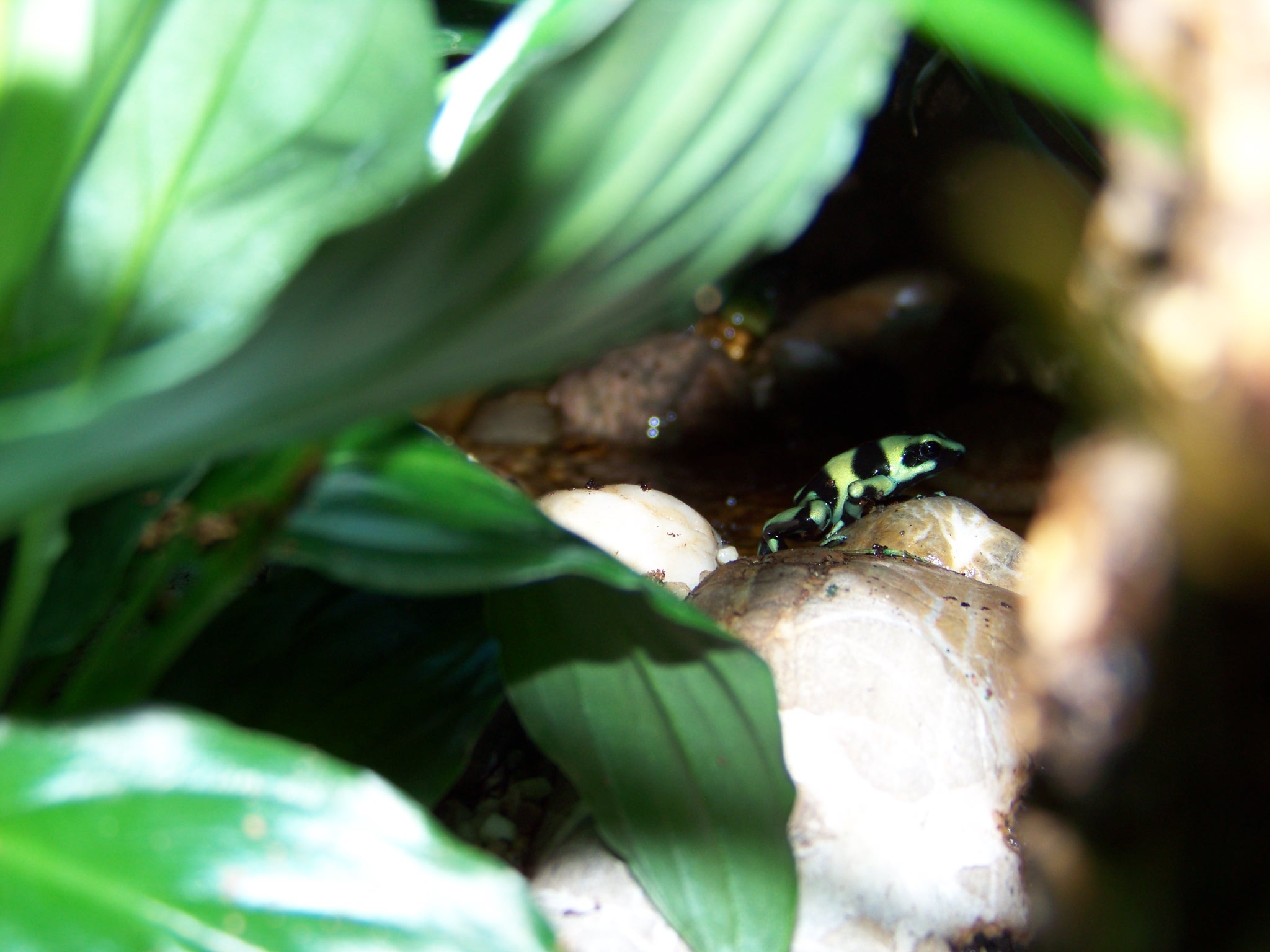 100_1597.jpg