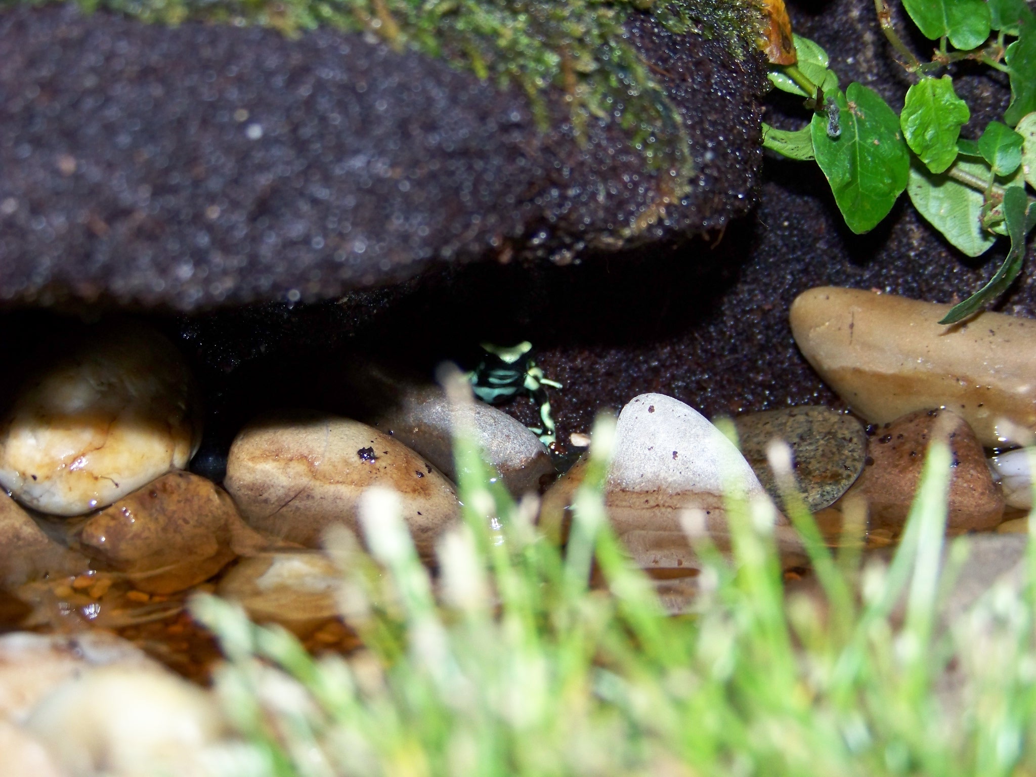 100_1575.jpg