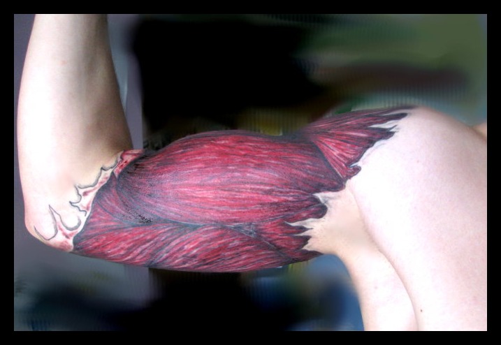 Arm2.jpg