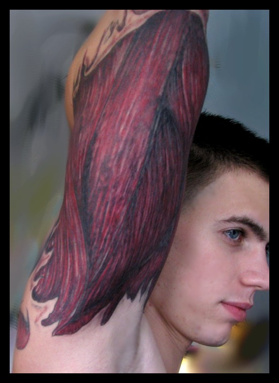 Arm1.jpg