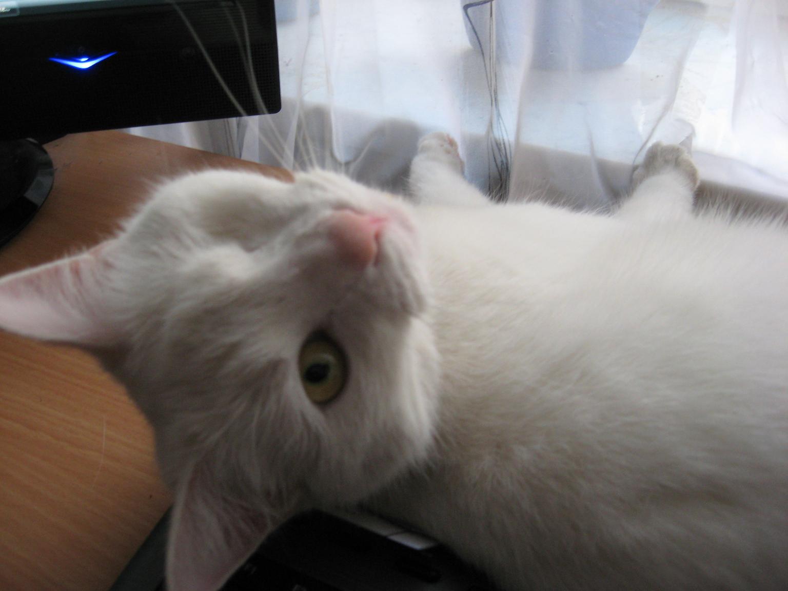jette09.jpg
