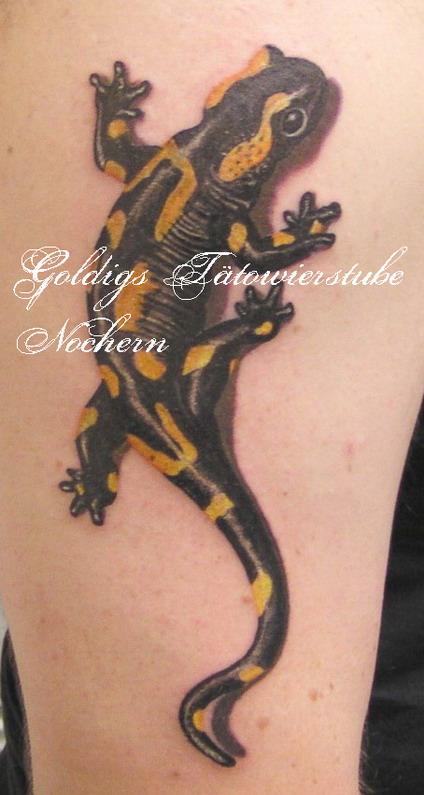 Feuersalamander.jpg
