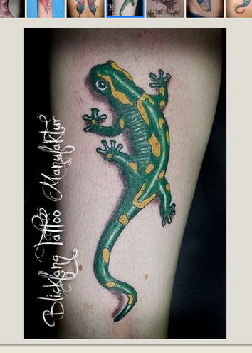 Salamander.jpg