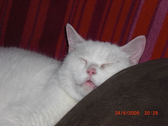 CIMG0038.JPG