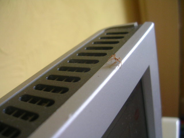 DSCN4806.JPG