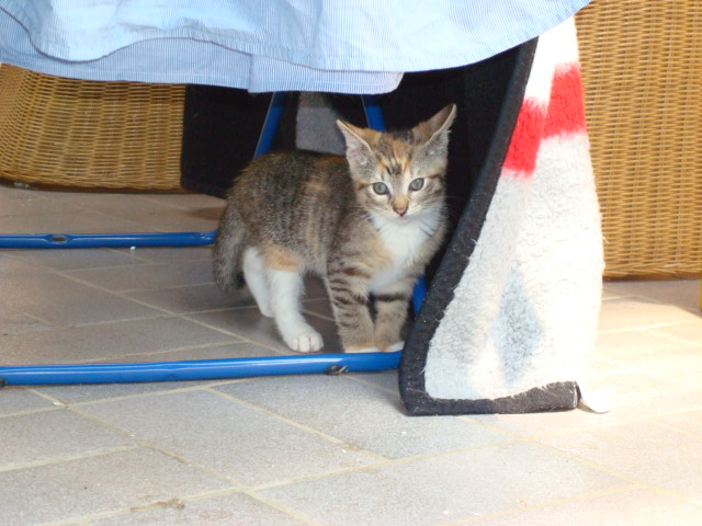 zu warm! 043.JPG