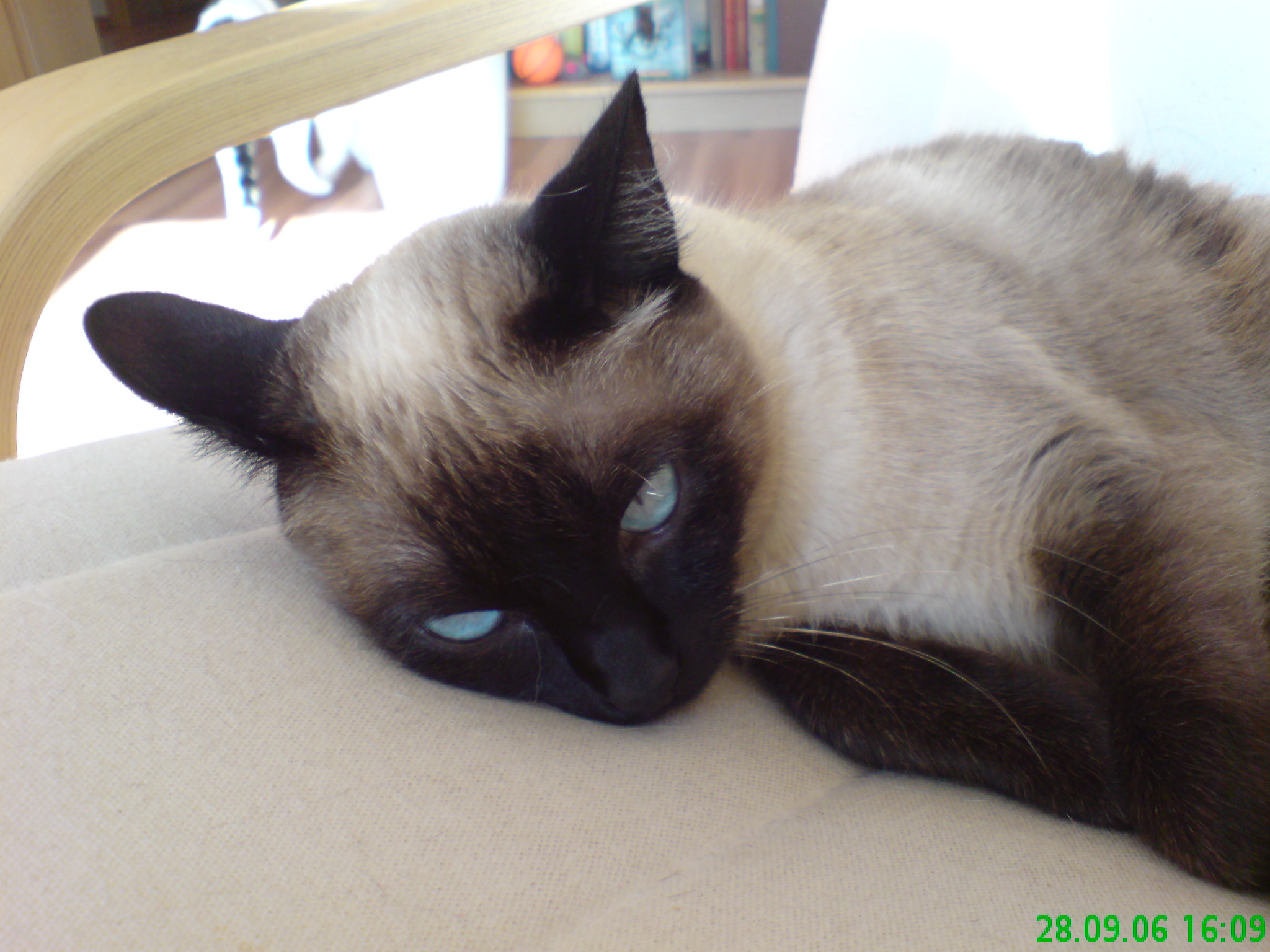 DSC00015.JPG