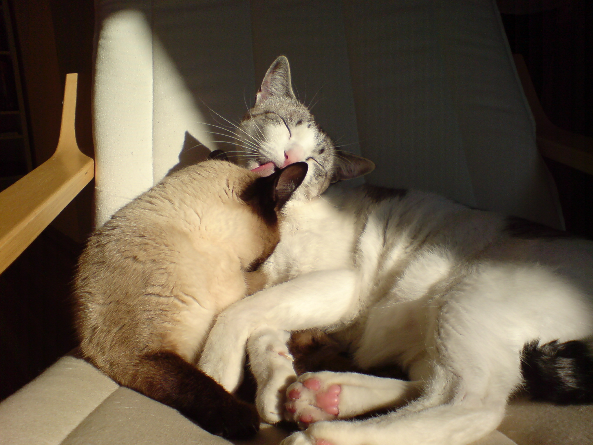 DSC00018.JPG