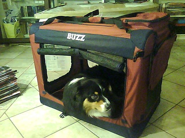 Picture0003.jpg
