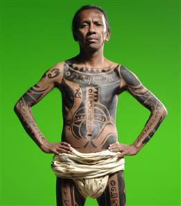 tatman.jpg