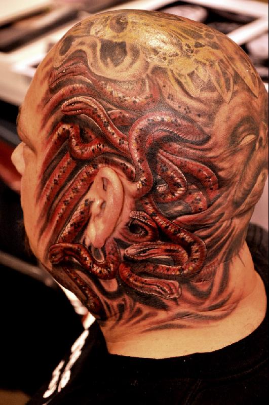 ish_headsnake1.jpg