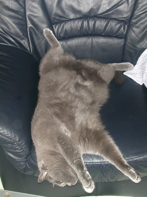 DSCN9328.jpg