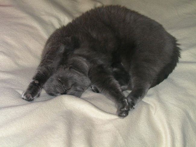 DSCN8153.jpg