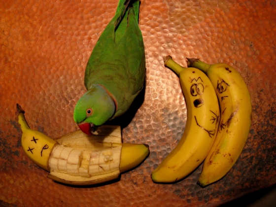 1247603260689.jpg