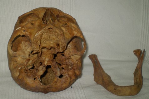 head3.jpg