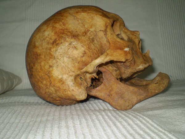 head2.JPG