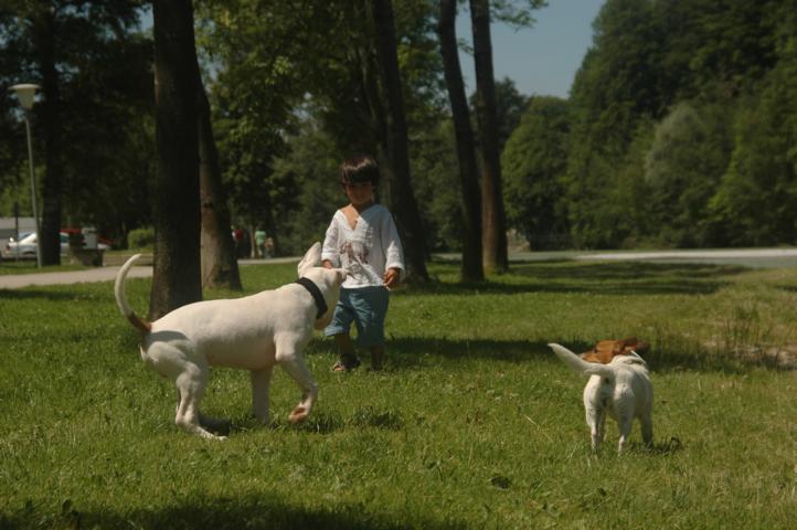 DSC_1428.JPG