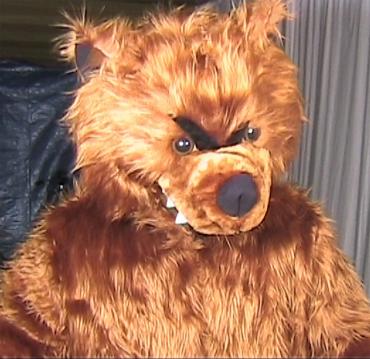 Grimmiger Teddy.jpeg