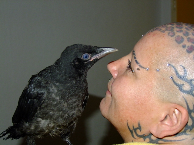 DSCF2631.JPG