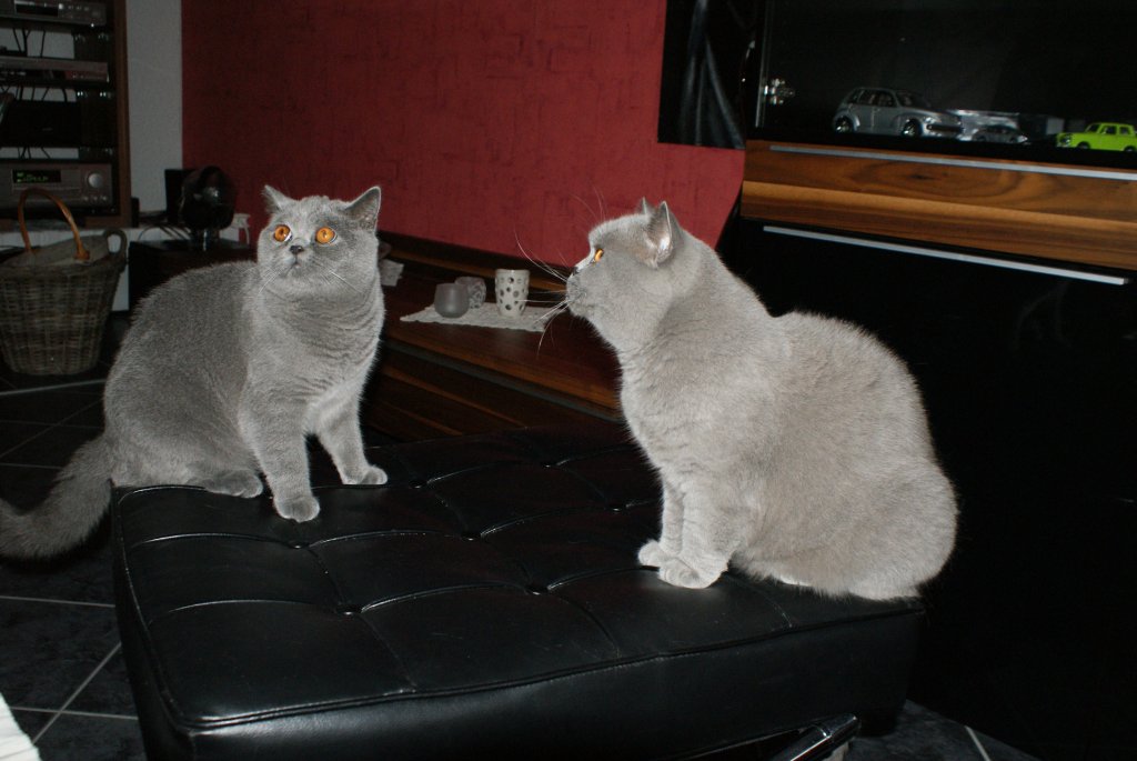 Eddy und Yoshi.jpg