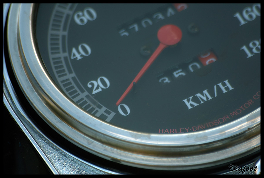 Softail01.jpg