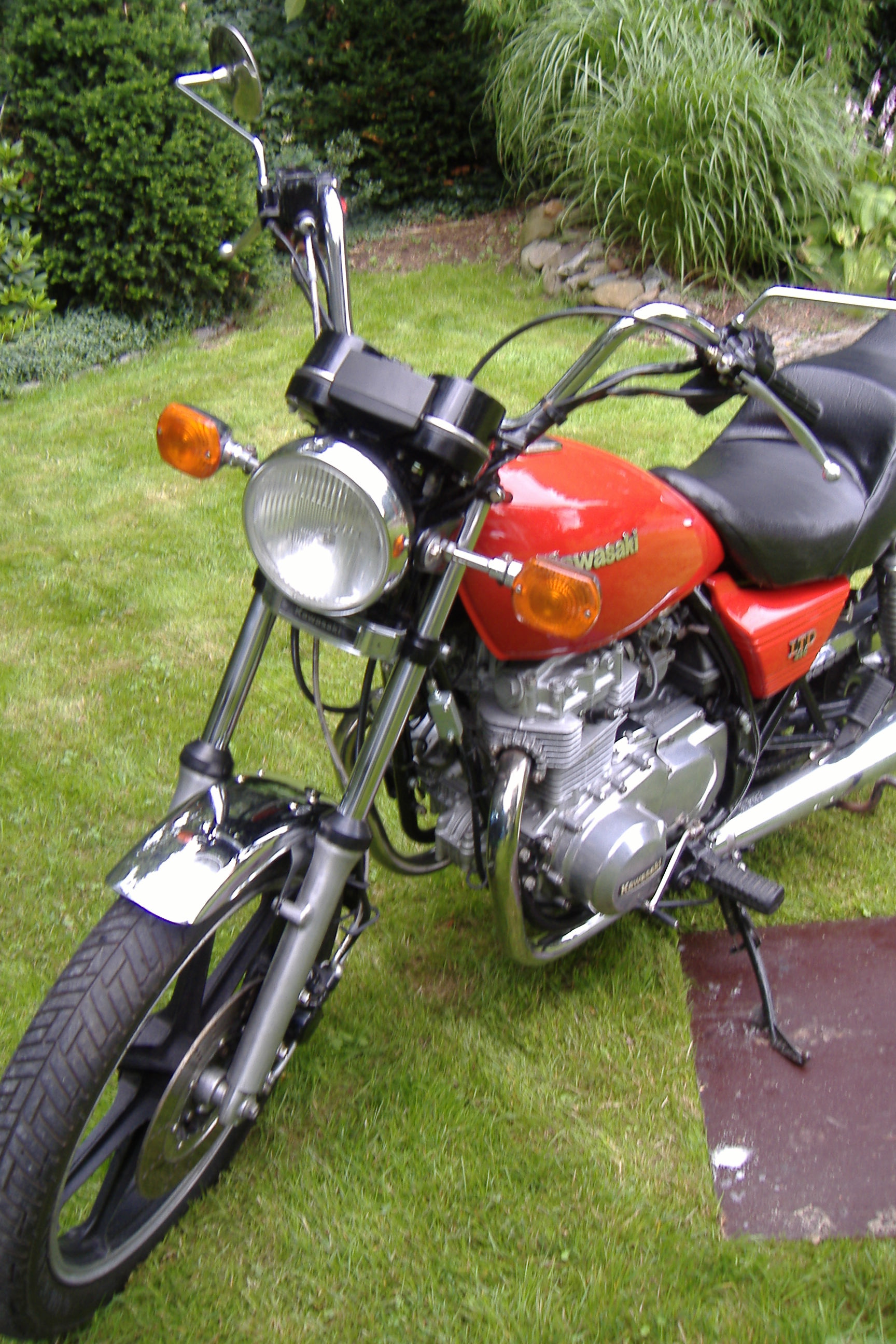 DSCF0849.JPG
