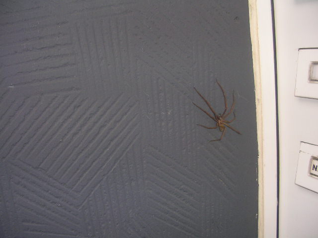 DSCN4943.JPG