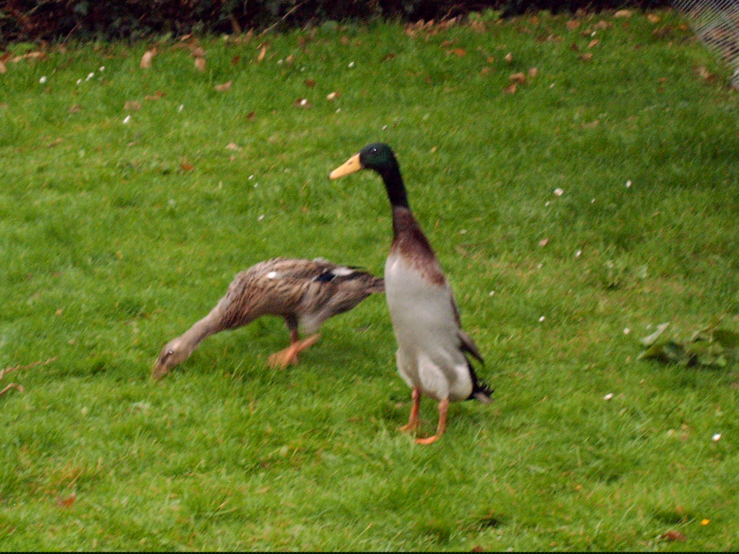 IMAG0014.JPG