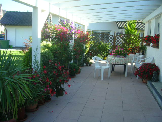 DSCN4430.JPG