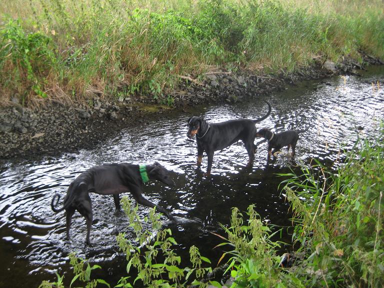 wasser.JPG