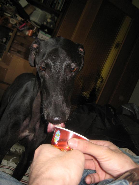 eis.JPG