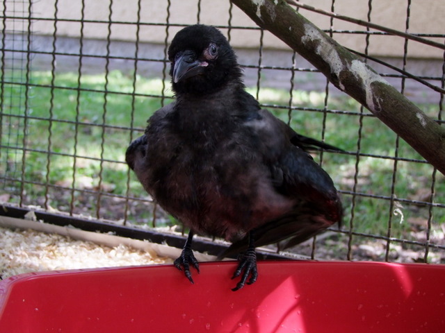 DSCF2537.JPG