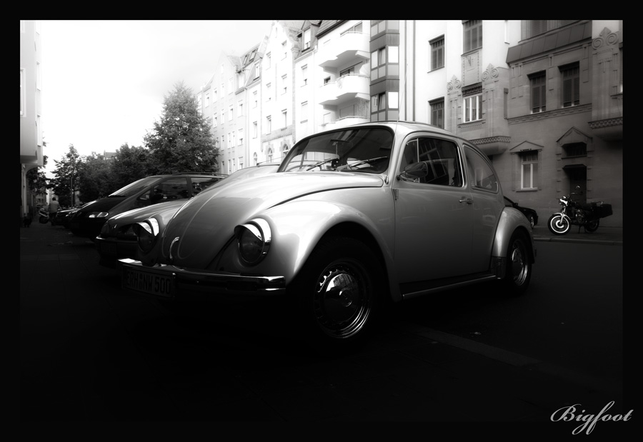 Beetle04-web.jpg