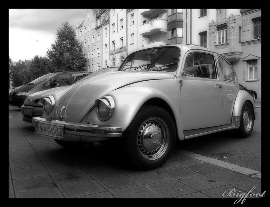 Beetle03-web.jpg
