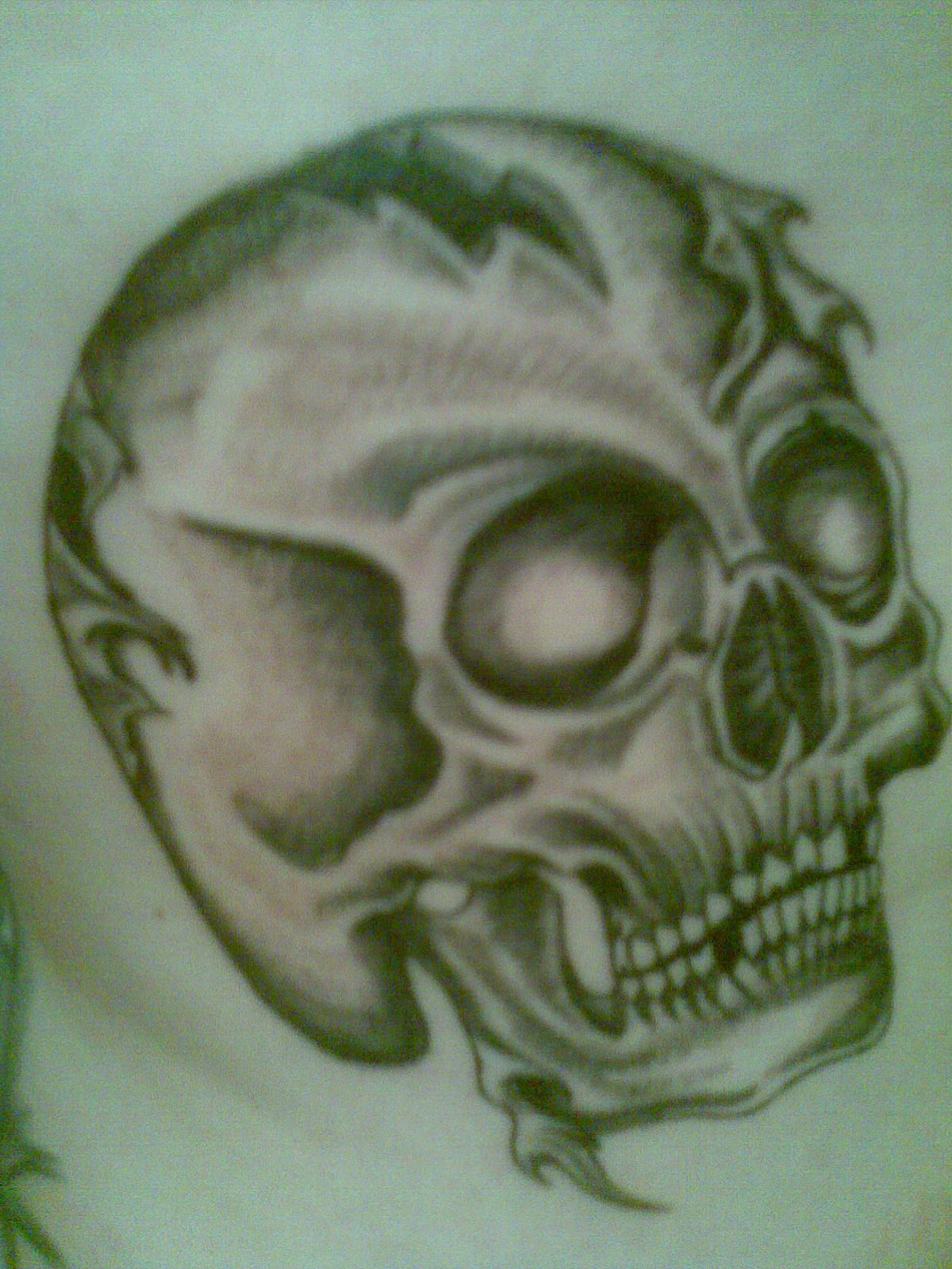 skull.jpg