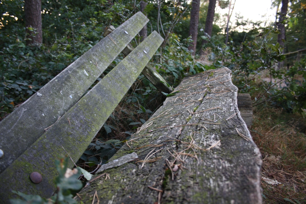 IMG_4072 bisschen rumgespielt + verkleinert.jpg