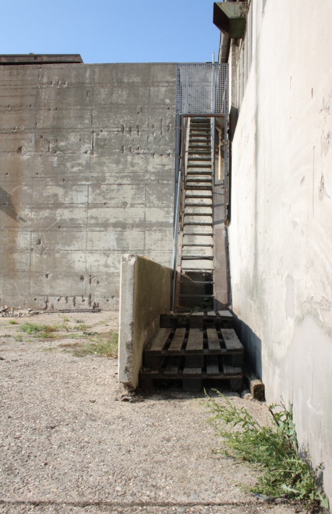 IMG_4130 bearbeitet + verkleinert.jpg