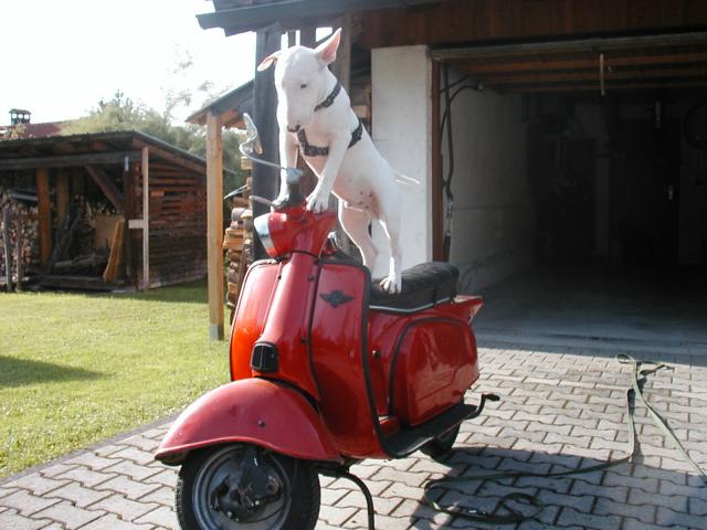 P1010009.JPG