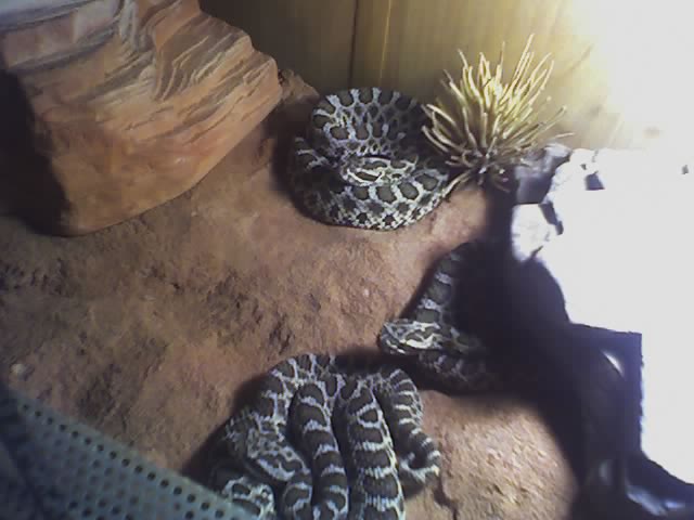 31-05-06_1212.jpg