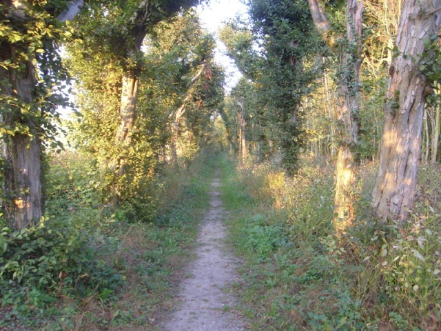 A long way_klein.JPG