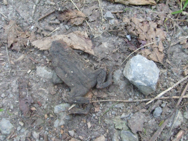 What happened_klein.JPG