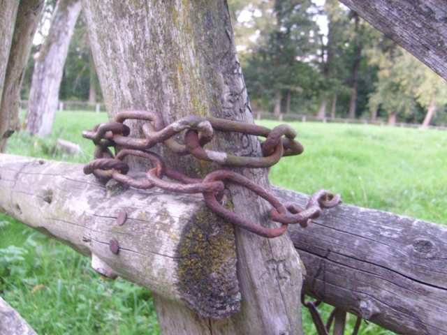 chained_klein.JPG