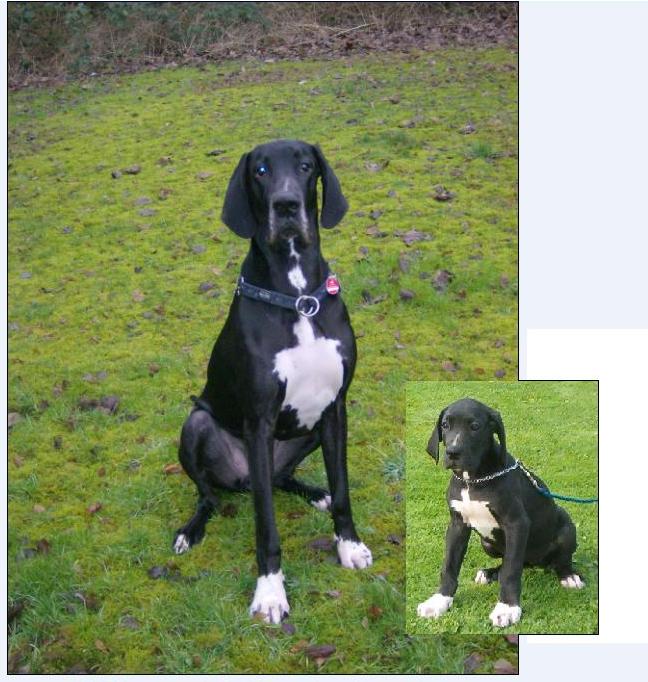 Nele früher und heute.JPG