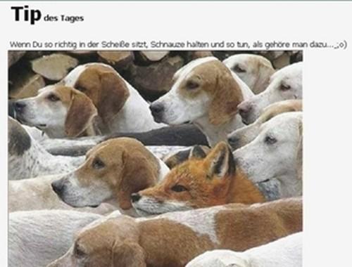 Jagd.jpg