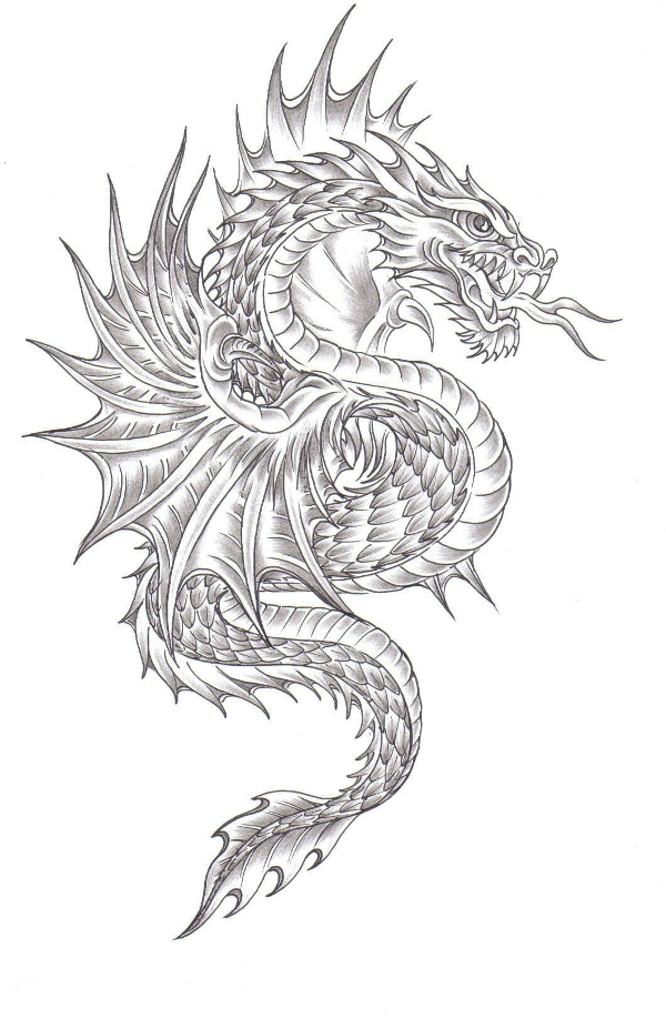 drache.jpg